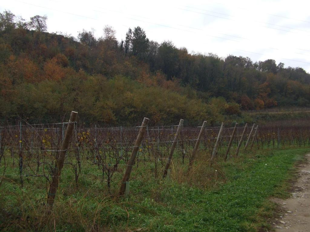 Agriturismo Cascina Rossano Provaglio d'Iseo Luaran gambar