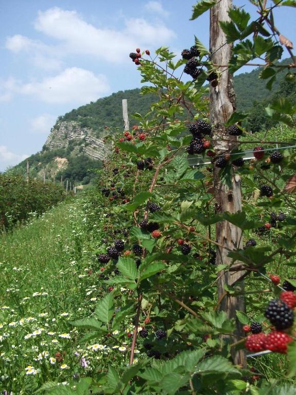Agriturismo Cascina Rossano Provaglio d'Iseo Luaran gambar