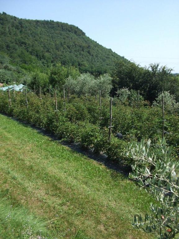 Agriturismo Cascina Rossano Provaglio d'Iseo Luaran gambar