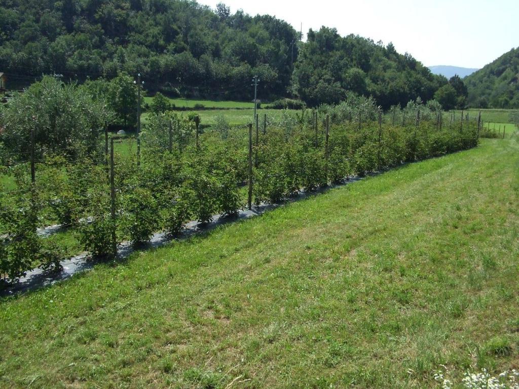 Agriturismo Cascina Rossano Provaglio d'Iseo Luaran gambar
