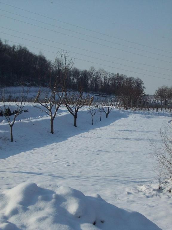 Agriturismo Cascina Rossano Provaglio d'Iseo Luaran gambar